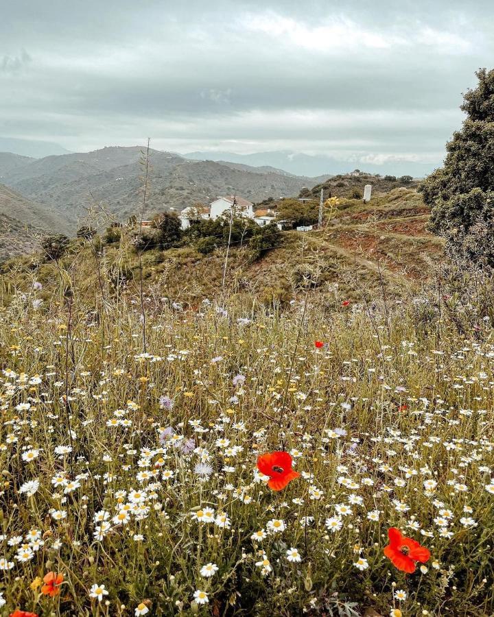 Finca Serrato Colmenar Exteriér fotografie